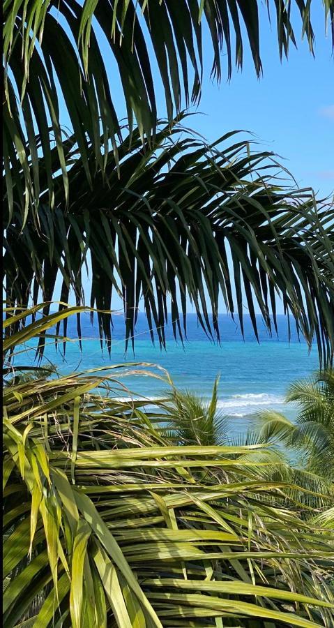 Spring Garden Mobay Resort Montego Bay Buitenkant foto